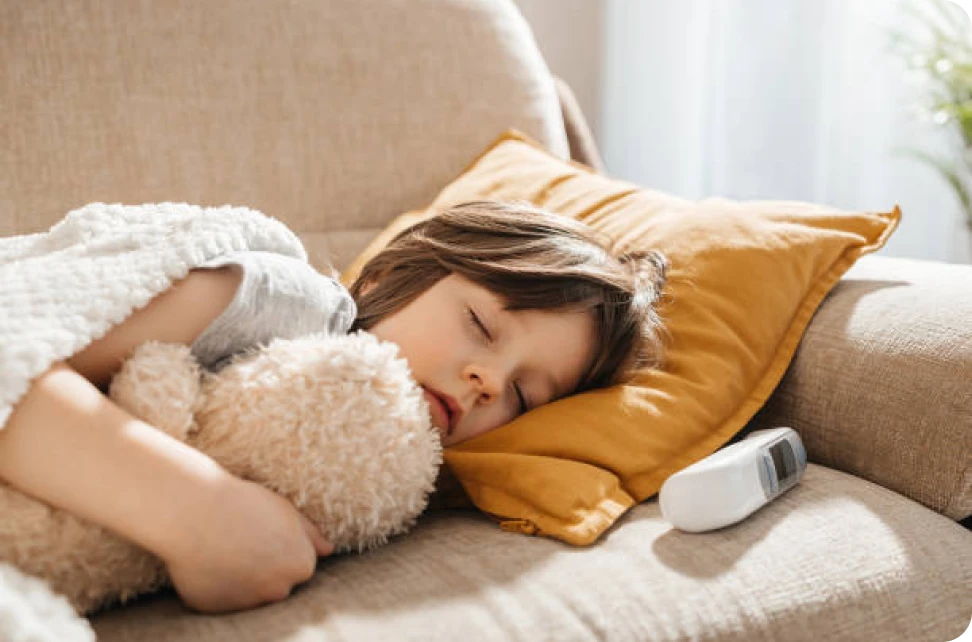 Descripción de la imagen