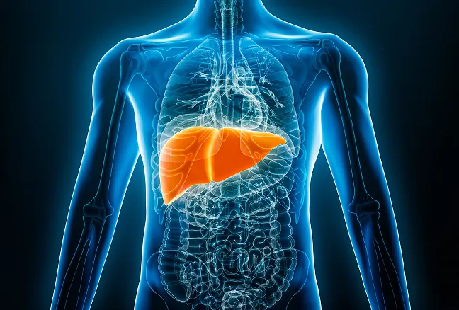 Ilustración sobre la transmisión de la Hepatitis A